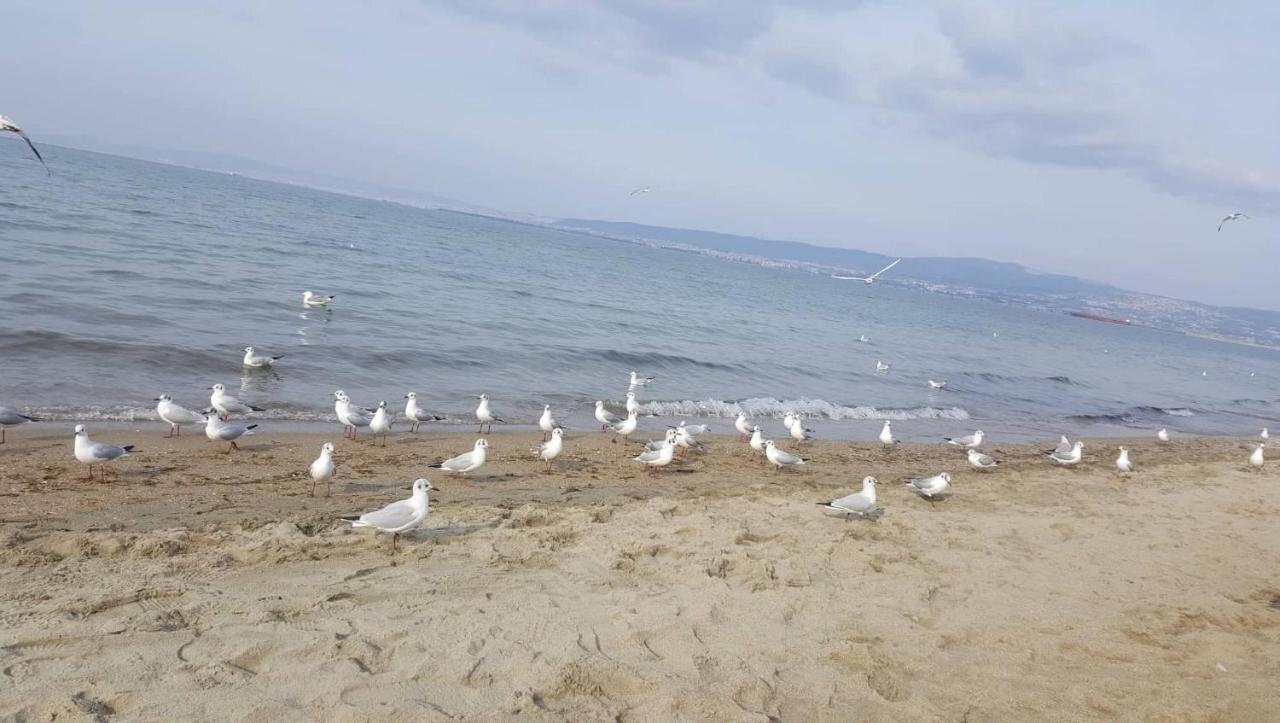 Rena'S Traditional Aegean House By The Sea Peraía 외부 사진
